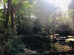 -绿光森林餐厅