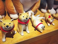 -柴务处·柴犬主题狗咖