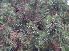 -香山公园-东宫门售票处