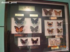 -上海昆虫博物馆