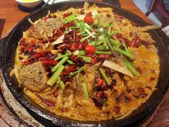 -老板恋上鱼(高新万达店)