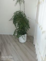 -HEYAN荷妍专业脱毛连锁机构