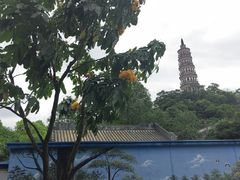 -顺峰山公园