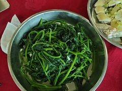 -新地休闲农场