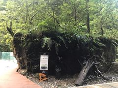 -西岭雪山大飞水景区