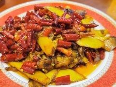 -菌之家·专业纯野生菌火锅·特色炒菌