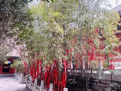 -兴教寺