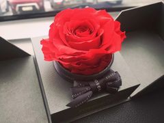 -ROSEONLY诺誓(青岛万象城店)