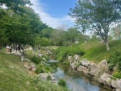 -羊山湖公园