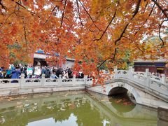 -香山公园