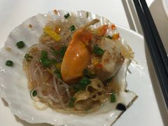 -金春禧(世茂国际广场店)