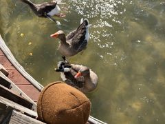 -南宫五洲植物乐园