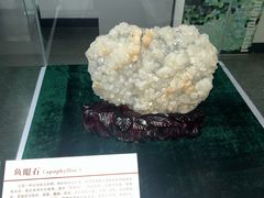 -中国第四纪冰川遗迹陈列馆