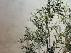 -MOMENTI手工意面(晶耀前滩店)