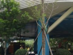 -南宫温泉水世界