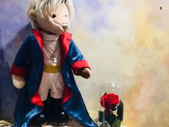 -济州岛泰迪熊博物馆