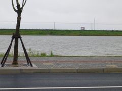 -南汇嘴观海公园