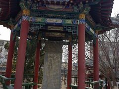 -桃花堤公园