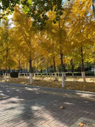 -Oasis Beauty水磨坊科技美肤中心