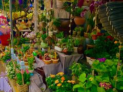 -循礼门鲜花花市(武汉循礼门店)