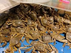 河蟹-钱库里海鲜自助(星海广场店)