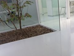 -极简口腔(总院)