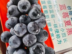 -马陆小张葡萄园农家乐