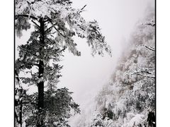 -九峰山