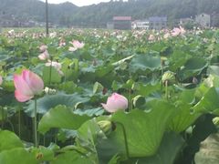 -周洛大峡谷