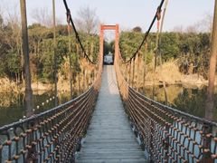 -吴淞炮台湾湿地森林公园烧烤区