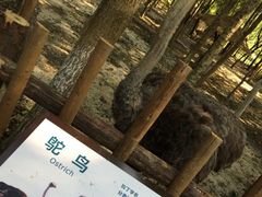 -昆山城市生态森林公园