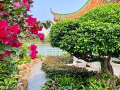 -深圳龙潭公园
