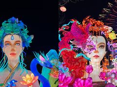 -淄博花灯齐彩城