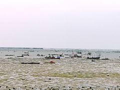 -北海金海湾红树林生态旅游区