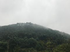 -楠柏弯休闲山庄(梨花溪店)