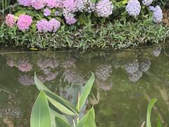 -人民公园(罗湖区)