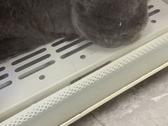 -贝康宠物医院·犬猫全科·小动物特色诊疗中心(东环路店)