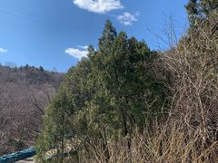 -白水寺森林公园