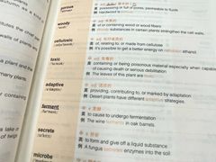 -新东方成人英语学习考试·口语·商务(延安路校区)