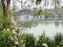 -桃花岛公园