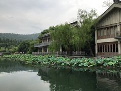 -杭州西湖柳莺里酒店·闻莺厅