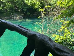 -石台牯牛降景区