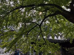 -无锡惠山寺