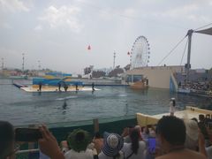 -秦皇岛乐岛海洋王国