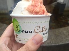 益力多口味-柠檬车露(卖草地店)