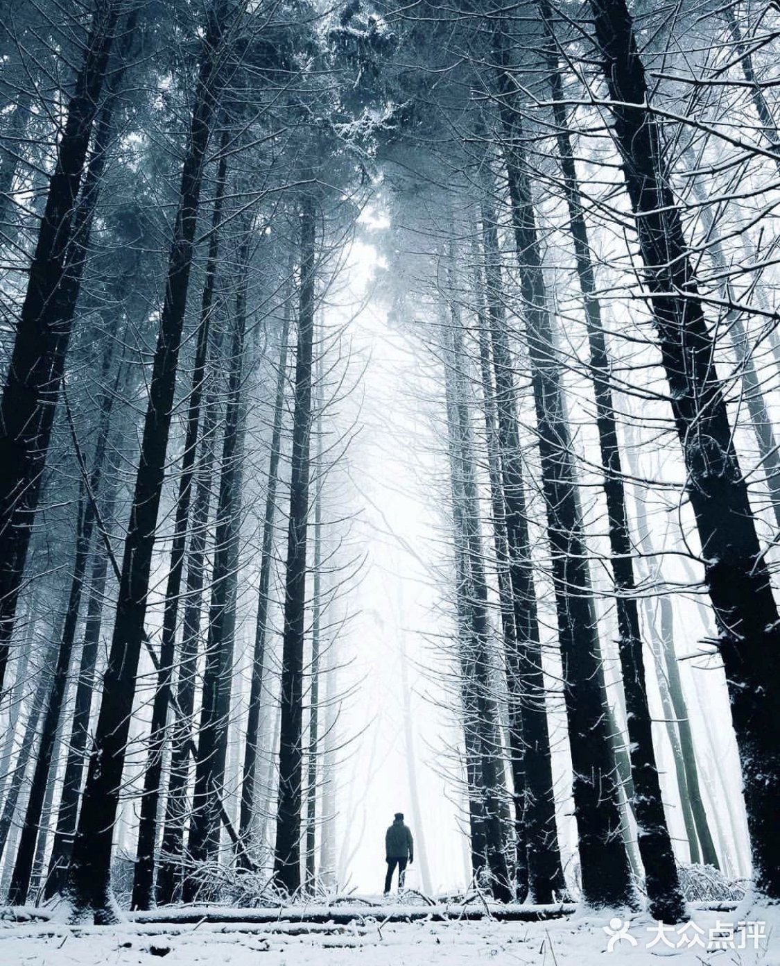 💯【值得推荐】小众旅游胜地👉韦尔尼格罗德