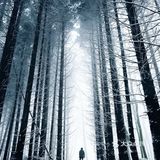 💯【值得推荐】小众旅游胜地👉韦尔尼格罗德
