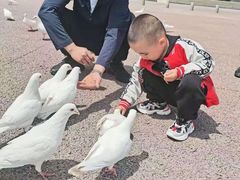 -泉城欧乐堡海洋极地世界