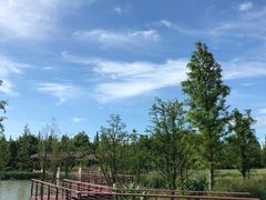 -同里国家湿地公园