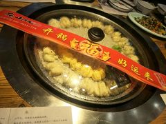 大鹅-山河屯铁锅炖(哈西站店)